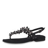 , BLACK COMB, hi-res