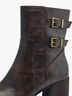 Stiefelette - braun, CAFE ANTIC, hi-res