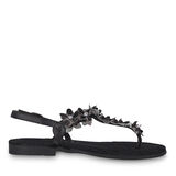 , BLACK COMB, hi-res