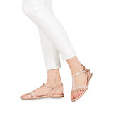 Calo, ROSE MET. COMB, hi-res
