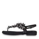, BLACK COMB, hi-res